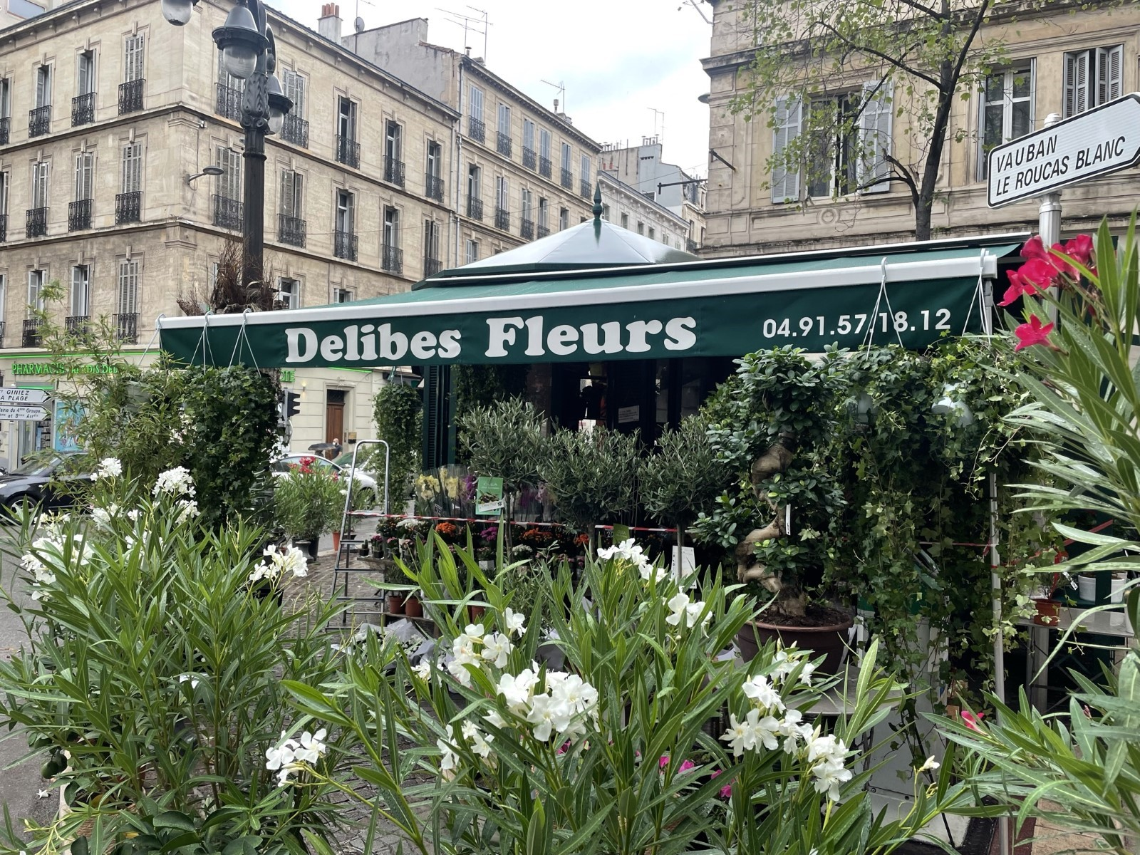Mise en place d'un store extérieur à bannes pour un fleuriste à Marseille